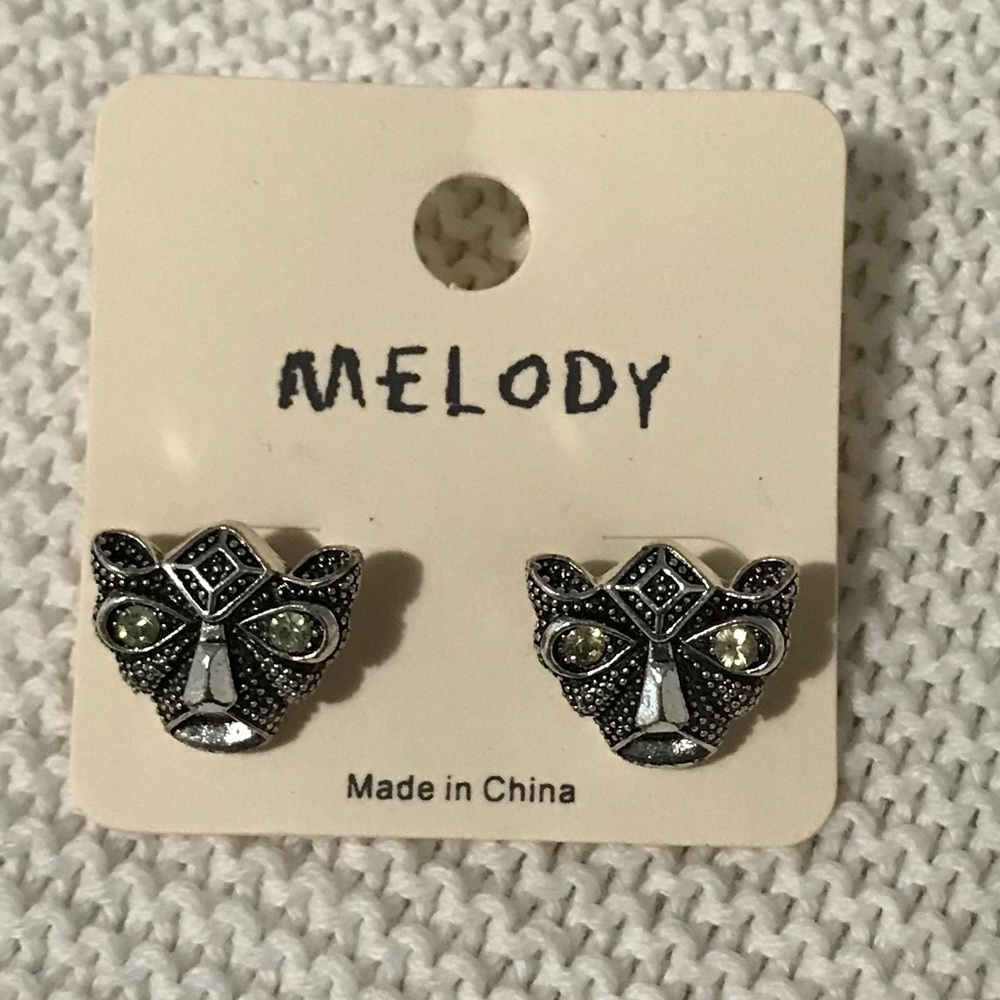 Gold or Silver earrings